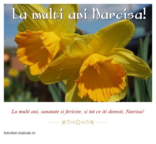 Poza felicitare La multi ani Narcisa!